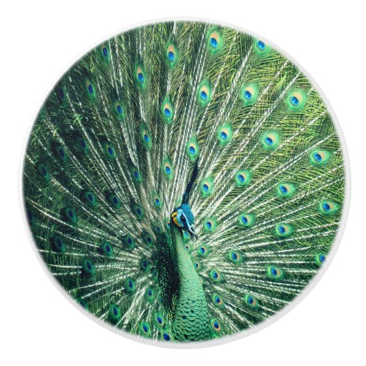 Peacock Strut Keramische Knop (Voorkant)