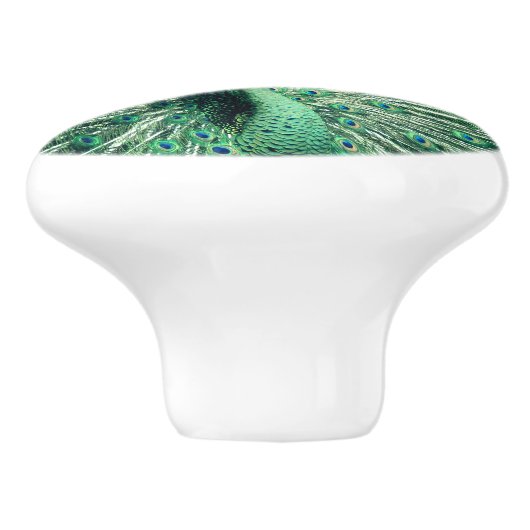 Peacock Strut Keramische Knop (Zijkant)