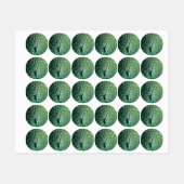 Peacock Strut Labels (Vel)