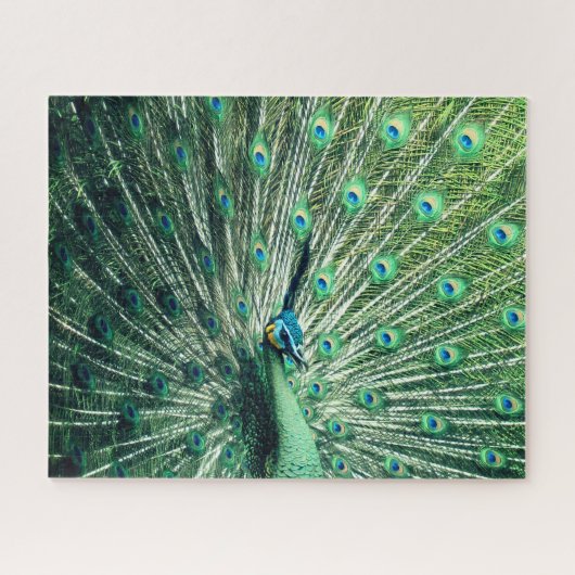 Peacock Strut Legpuzzel (Horizontaal)