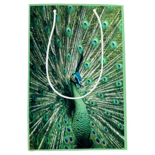 Peacock Strut Medium Cadeauzakje (Voorkant)