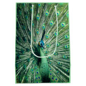 Peacock Strut Medium Cadeauzakje (Achterkant)