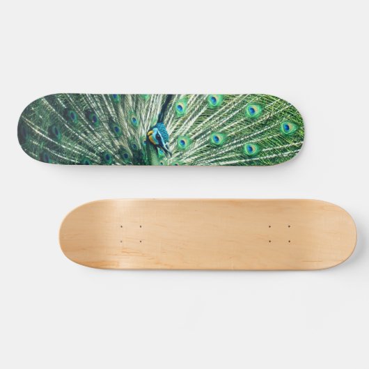 Peacock Strut Persoonlijk Skateboard (Horizontaal)