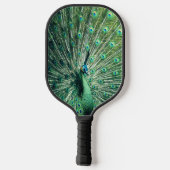Peacock Strut Pickleball Paddle (Achterkant)