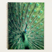 Peacock Strut Planner (Voorkant)