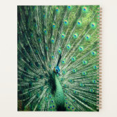 Peacock Strut Planner (Achterkant)