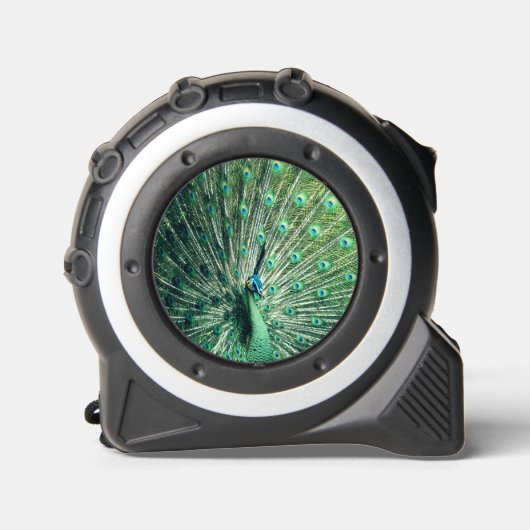 Peacock Strut Rolmaat (Voorkant)