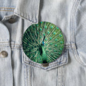 Peacock Strut Ronde Button 4,0 Cm (In situ)