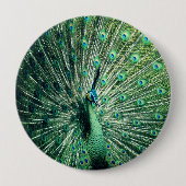 Peacock Strut Ronde Button 4,0 Cm (Voorkant)