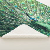 Peacock Strut Sherpa Deken (3/4)