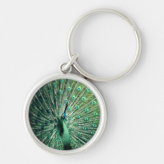 Peacock Strut Sleutelhanger (Voorkant)