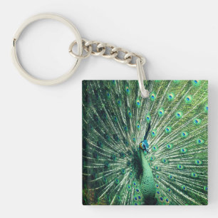 Peacock Strut Sleutelhanger