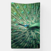 Peacock Strut Spandoek (Verticaal)