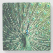 Peacock Strut Stenen Onderzetter (Voorkant)