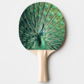 Peacock Strut Tafeltennisbatje (Voorkant)