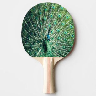 Peacock Strut Tafeltennisbatje
