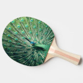 Peacock Strut Tafeltennisbatje (Zijkant)