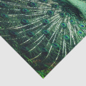 Peacock Strut Tissuepapier (Detail)