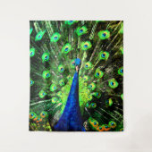 Peacock Strut Wandkleed (Voorkant)