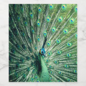 Peacock Strut Wijn Etiket (Enkel label)