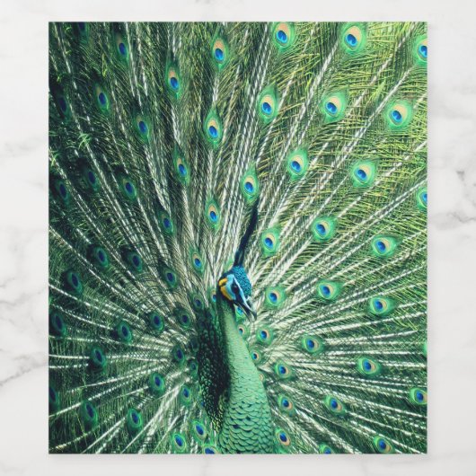 Peacock Strut Wijn Etiket (Enkel label)