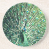 Peacock Strut Zandsteen Onderzetter (Voorkant)