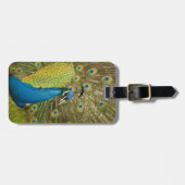 Peacock-strutting Bagagelabel (Voorkant horizontaal)