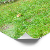 Peacock Strutting Perfect Poster (Hoek)