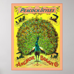 Peacock Styles ~ Anchor Buggy Co. ~  Advert Poster
