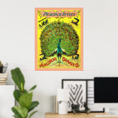 Peacock Styles ~ Anchor Buggy Co. ~  Advert Poster (Thuiskantoor)