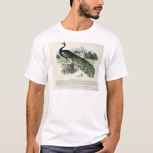 Peacock T-shirt (Voorkant)