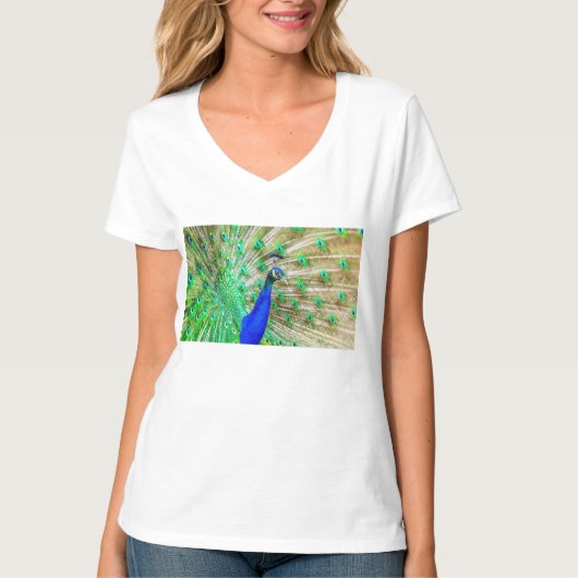 Peacock T-shirt (Voorkant)