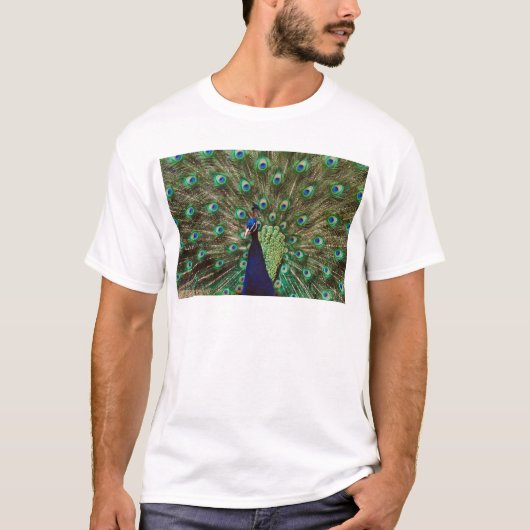 Peacock T-shirt (Voorkant)