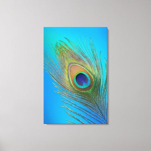 Peacock Tail Feather Canvas Afdruk (Voorkant)