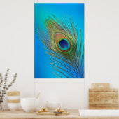 Peacock Tail Feather Poster (Keuken)