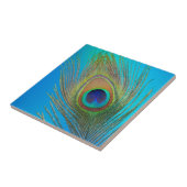 Peacock Tail Feather Tegeltje (Zijkant)