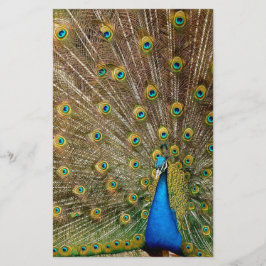 Peacock Tail Feathers Briefpapier