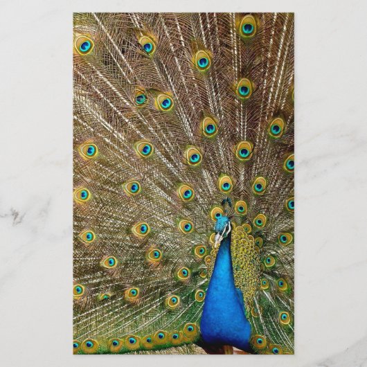 Peacock Tail Feathers Briefpapier (Voorkant)