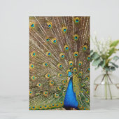 Peacock Tail Feathers Briefpapier (Staand voorkant)