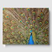 Peacock Tail Feathers Gastenboek (Voorkant)