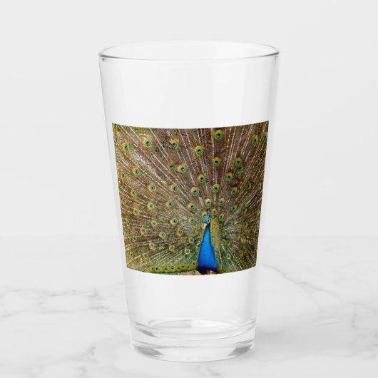 Peacock Tail Feathers Glas (Voorkant)