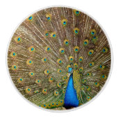 Peacock Tail Feathers Keramische Knop (Voorkant)