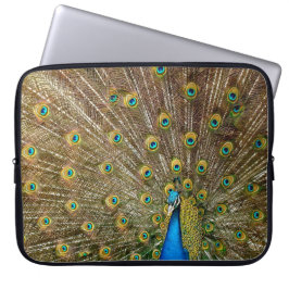 Peacock Tail Feathers Laptop Sleeve