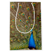 Peacock Tail Feathers Medium Cadeauzakje (Voorkant)