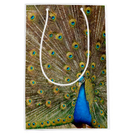Peacock Tail Feathers Medium Cadeauzakje