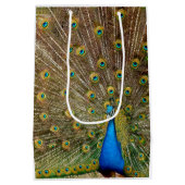 Peacock Tail Feathers Medium Cadeauzakje (Achterkant)