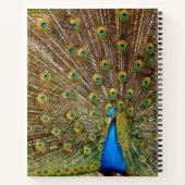 Peacock Tail Feathers Notitieboek (Achterkant)