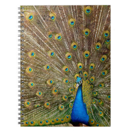 Peacock Tail Feathers Notitieboek