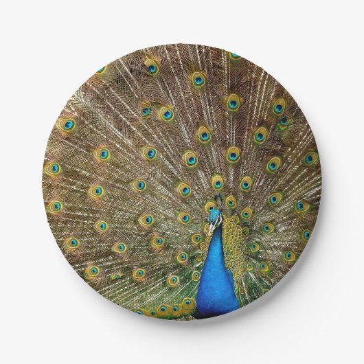 Peacock Tail Feathers Papieren Bordje (Voorkant)