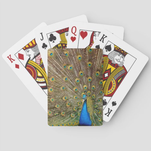 Peacock Tail Feathers Pokerkaarten (Achterkant)